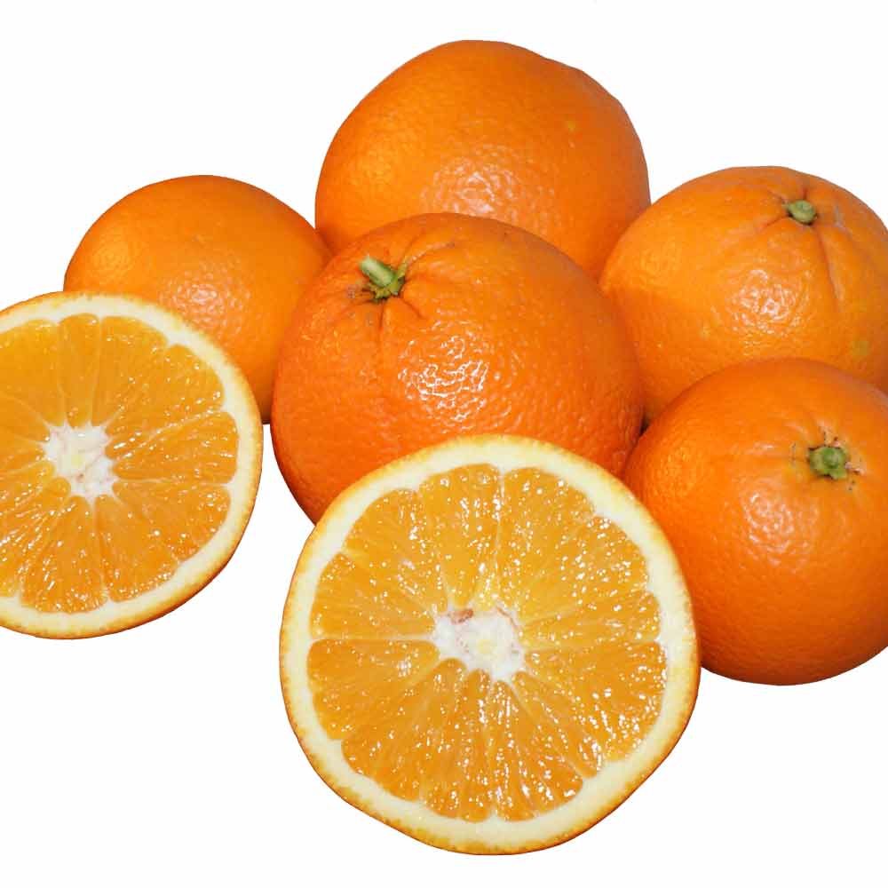 Bild: Orangen