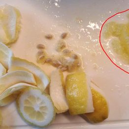 Bild: was von einer Zitrone zur Verwertung bleibt