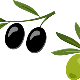 Bio-Olivenöl